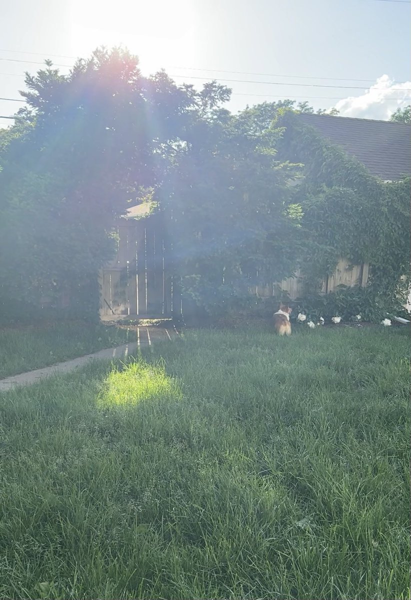 Kyle Potter tweet media