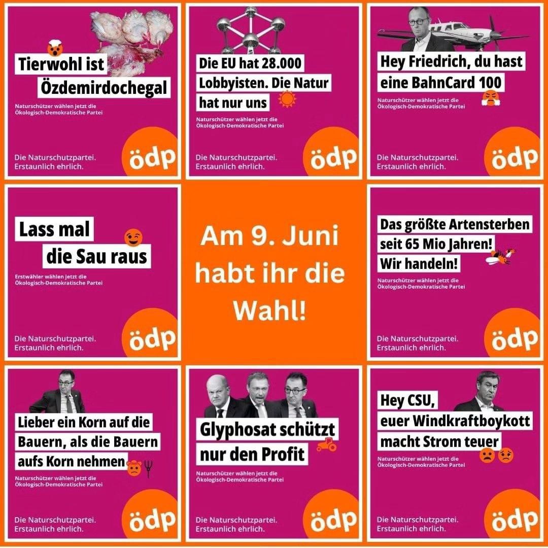 Countdown zur 🇪🇺Europawahl in 2️⃣ Tagen:

Eine laute Stimme für ein starkes ÖDP Team im Europaparlament! Wir wollen eine Politik in Europa, die sich konsequent für Umwelt, Natur und Gemeinwohl einsetzt. Denn der Erhalt unserer Lebensgrundlagen ist die Grundlage von allem.