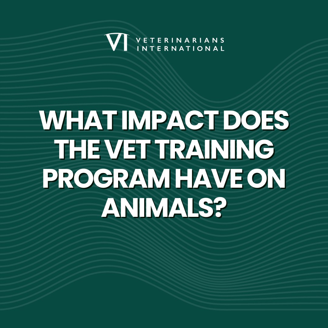 vetintl's tweet photo. π€ How can VI's Vet Training Program protect wildlife, their ecosystem, and the overall health of people in Kenya?
Join us & make these potential impacts a reality!
β
Donate today: https://t.co/YI5ZS550BA
#SaveTheWildlife #ConservationGeneration #WildlifeWarriors https://t.co/2Bz8CrUH17