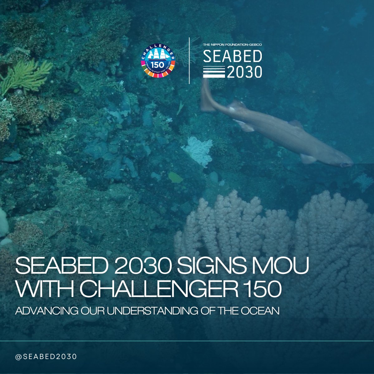 We are delighted to be working with <a href="/seabed2030/">Seabed 2030</a> to add the biology to their fantastic efforts to map the seafloor. Their work is vital to ours.