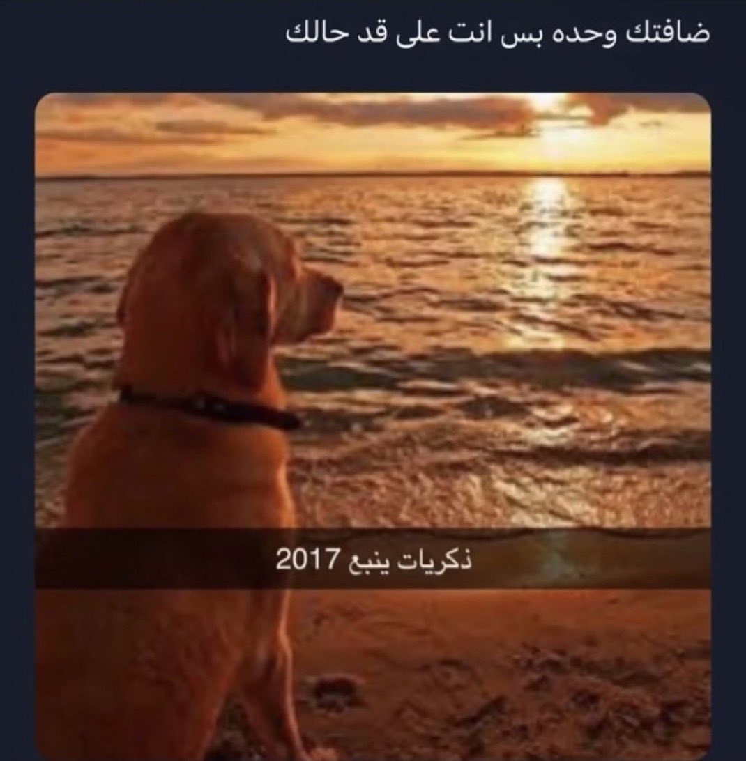 ْ tweet media