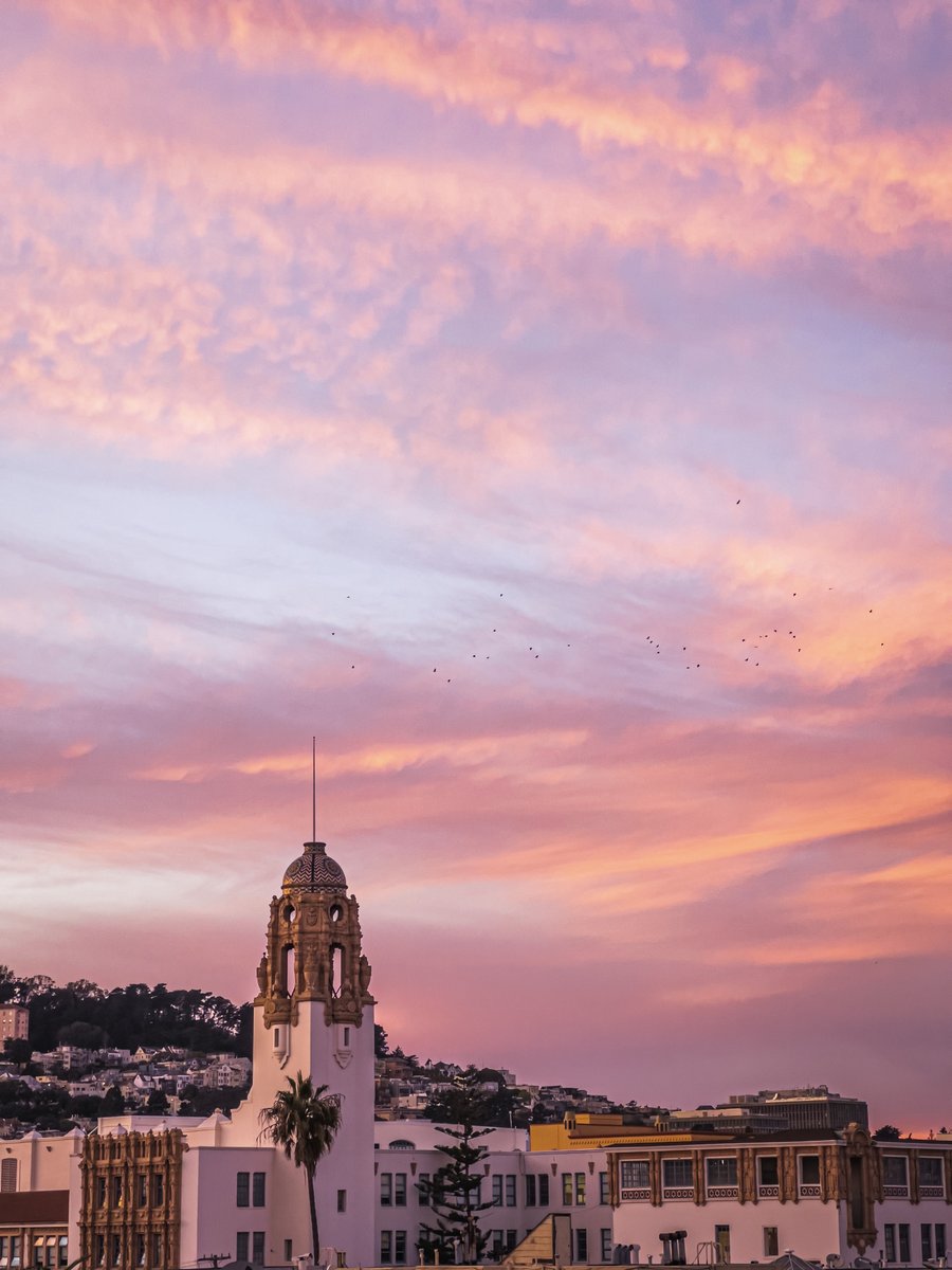 Sebastiaan de With tweet media