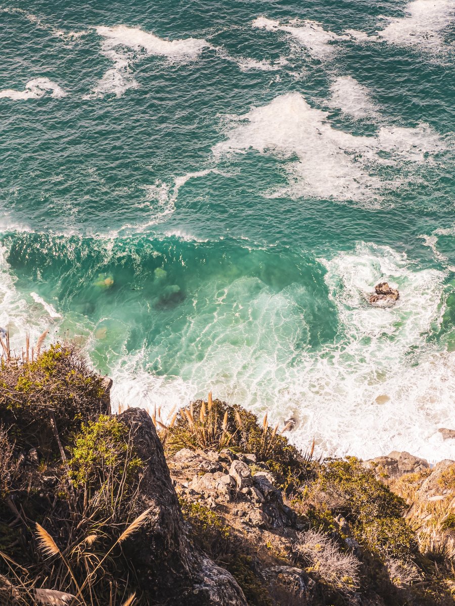 Sebastiaan de With tweet media