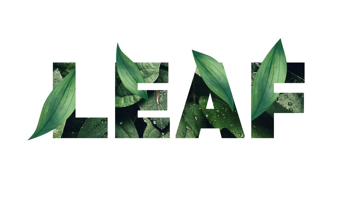 nhcreation059's tweet photo. Typography Text Effect Design on Canva🎨✨

@Behance Project link: https://t.co/HKBlDEQkG3

@Fiverr workspace: https://t.co/UaN4ZtOHEJ

#typography #texteffect #design #socialmedia #canva #post #banner #advertising #marketing #content #branding #graphicsdesign https://t.co/bPMZh7L1KH