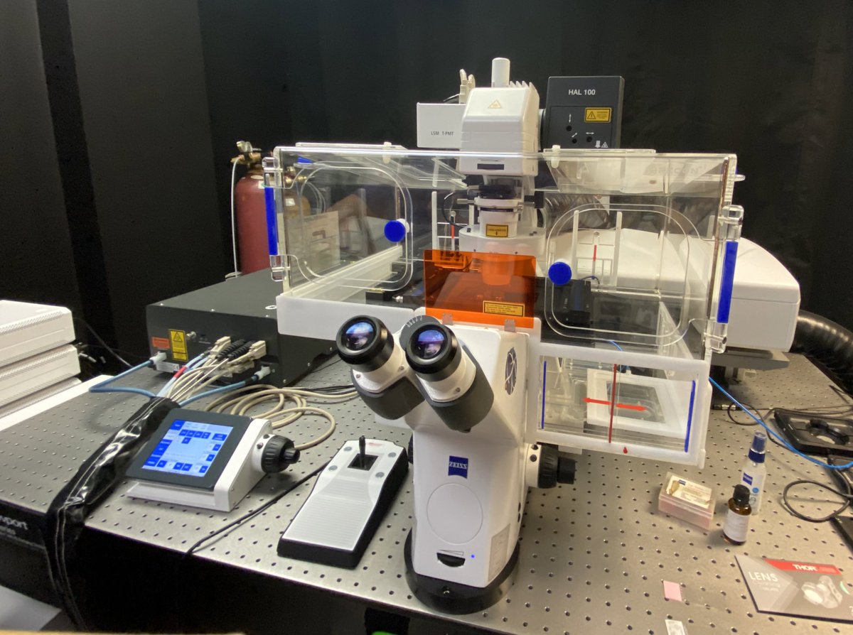 Rama J. Sarakbi (@rj_sarakbi) on Twitter photo Got to poke around the new LSM980 at <a href="/Carleton_U/">Carleton University</a> 🔬 (I had a bit of trouble trying to pry myself away from the thing). What an excellent way to end this year’s <a href="/MSC_SMC/">Microscopy Society of Canada (MSC)</a> meeting! Got to poke around the new LSM980 at <a href="/Carleton_U/">Carleton University</a> 🔬 (I had a bit of trouble trying to pry myself away from the thing). What an excellent way to end this year’s <a href="/MSC_SMC/">Microscopy Society of Canada (MSC)</a> meeting!