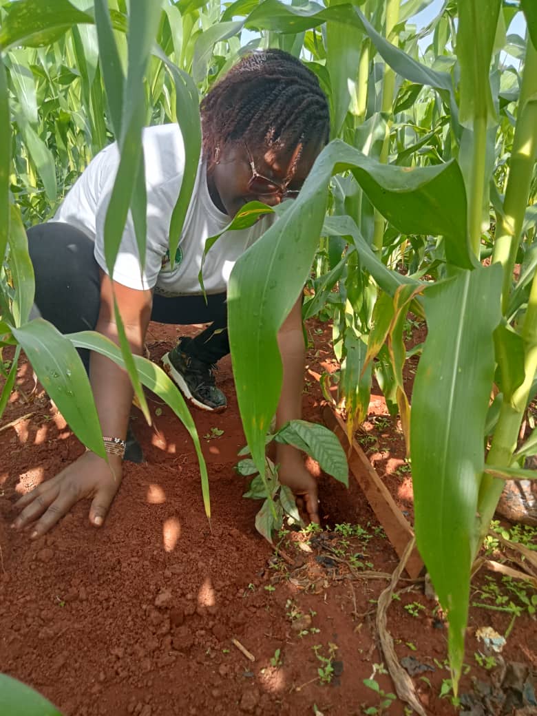 Inès Njonpang tweet media