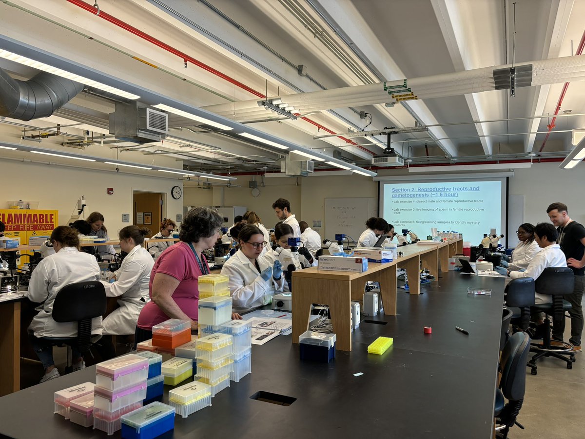 Always a blast to teach the <a href="/FIRbees/">FIR</a> the magic of Drosophila reproduction! and a great reunion with <a href="/WolfnerLab/">Mariana Wolfner Lab</a> 🪰💓🪰
