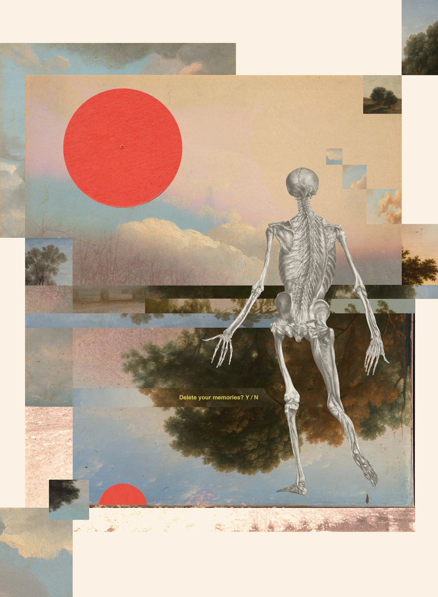 Transient Labs tweet media