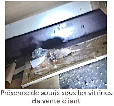 Prefet95's tweet photo. 🔴#santé | Fermeture administrative décidée par @prefet95, pour la seconde fois, de la boulangerie « Show Gourmand », située 12 place de la Fontaine à Cergy.

❌ locaux sales et infestés de nuisibles (rongeurs)
❌ denrées conservées dans des conditions inadéquates 
❌ pratiques d’hygiène non respectées  
❌ traçabilité des denrées non assurée 

🔴Du fait de ces manquements et en raison du risque de contamination ou de développement de micro-organismes et d’intoxication alimentaire, l’établissement a fait l’objet d’une fermeture.

🟢La mesure de fermeture sera levée dès que l’établissement sera aux normes en vigueur.