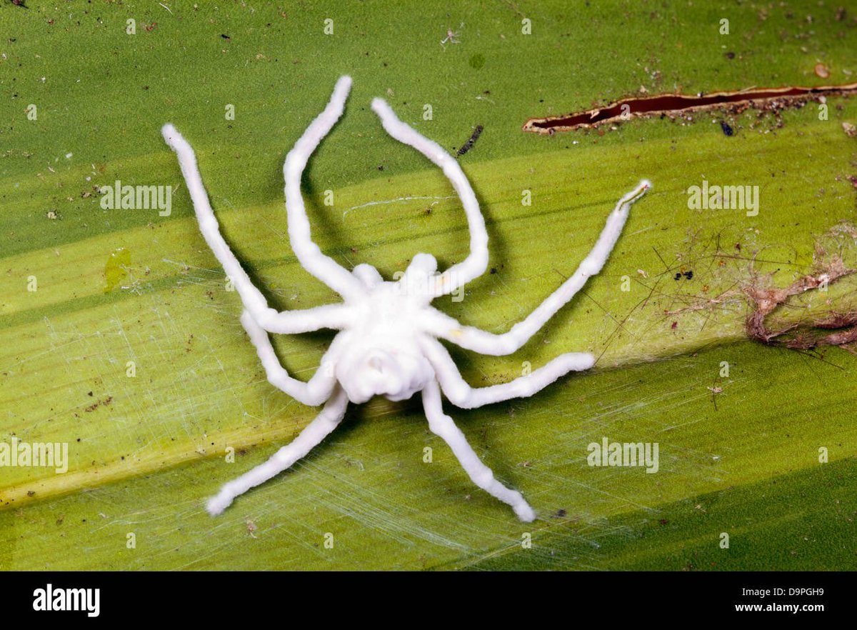 Earth & Beyond tweet media