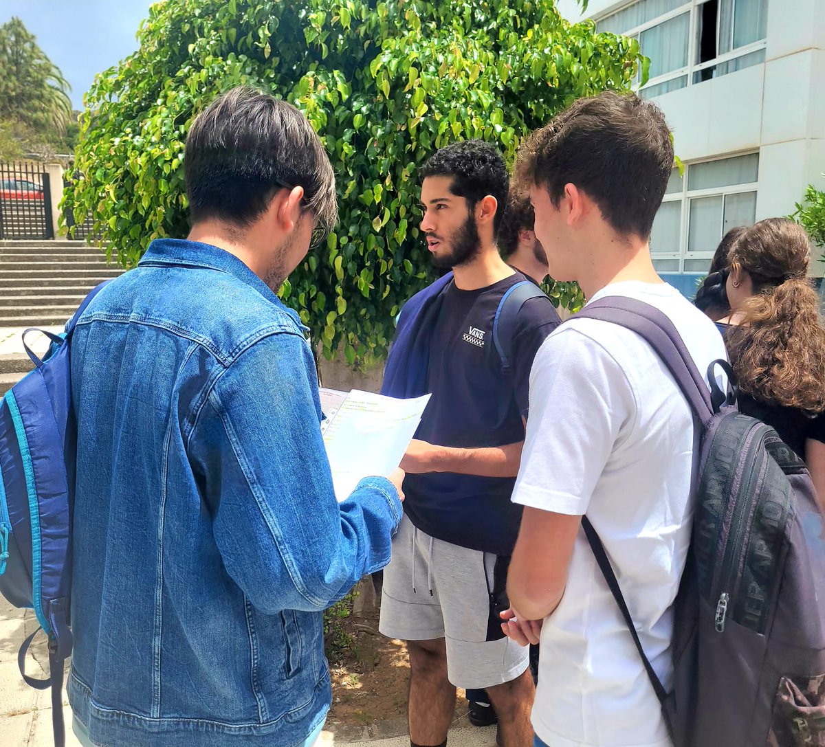 Montse M tweet media