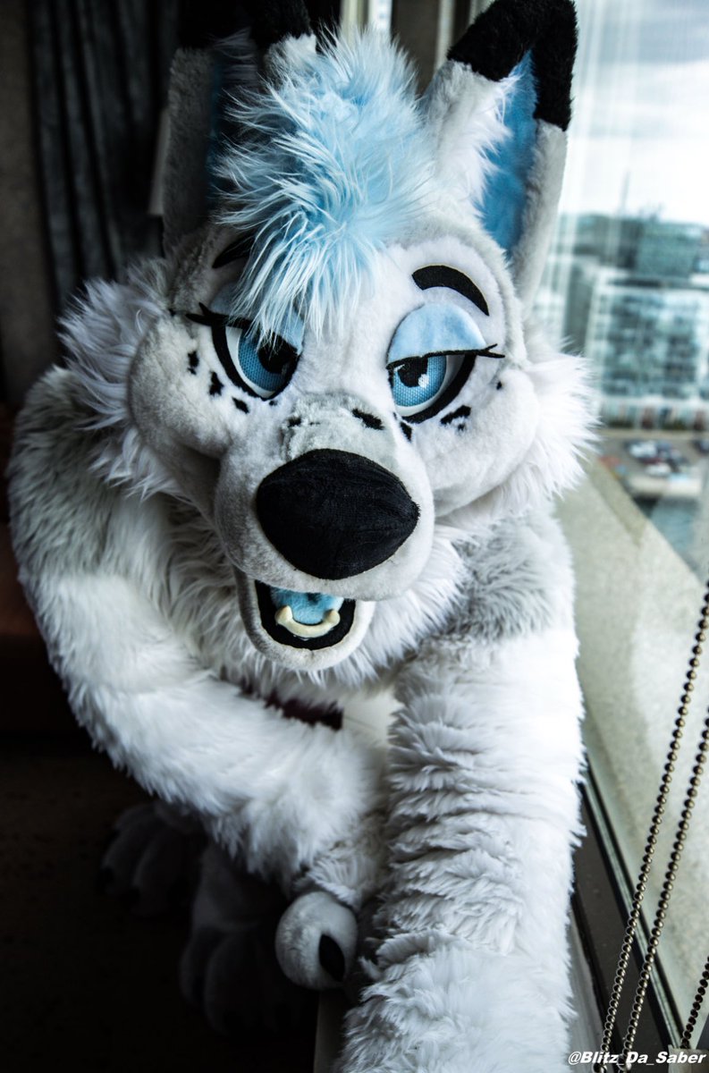 I’ve got my eyes on you, you’re not going anywhere 😇😈

📸<a href="/Blitz_da_saber/">Blitz 🔜 FCL 🍻😋</a> 

#FursuitFriday
