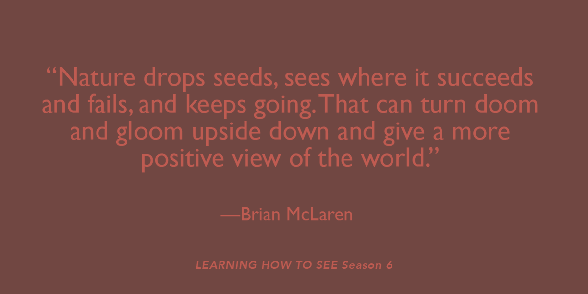 cac_abq's tweet photo. In one of this season’s most poignant episodes, learn how gardening can generate optimism, how curiosity can build courage, and how diversity can lead us to unity. #LearningHowToSee with @BrianMcLaren is now streaming! https://t.co/nLTGtAwlFv https://t.co/R5gZkGwaom