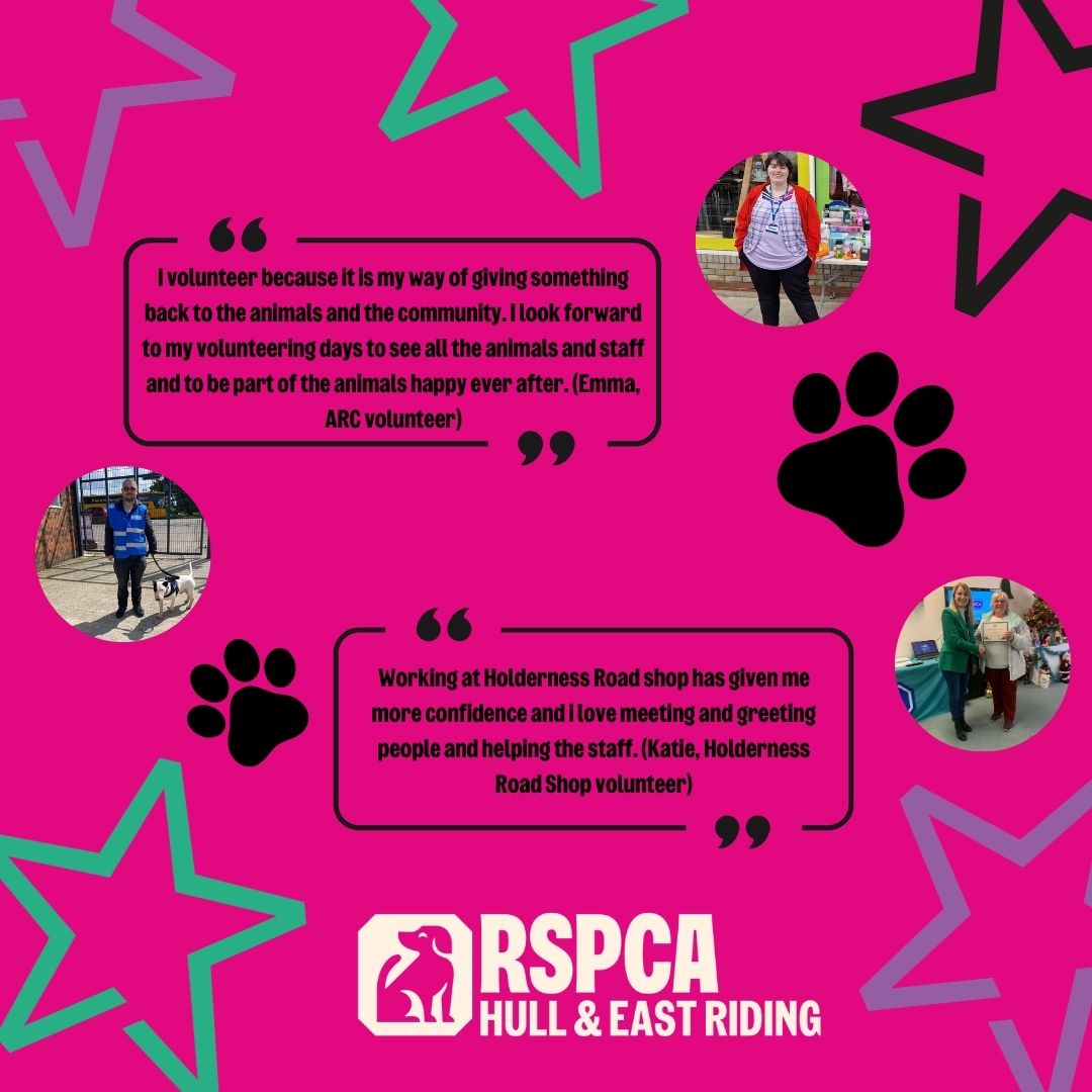 RSPCAHull's tweet photo. We wanted to take this evening to thank all of our voluntheros, for all of there hard work and dedication they give to the charity. We wouldn’t be able to do the work we do with out you. Thank you!!
To find out more about volunteering head to our website; https://t.co/JKhD9woy8q https://t.co/k4ifmjXqB2