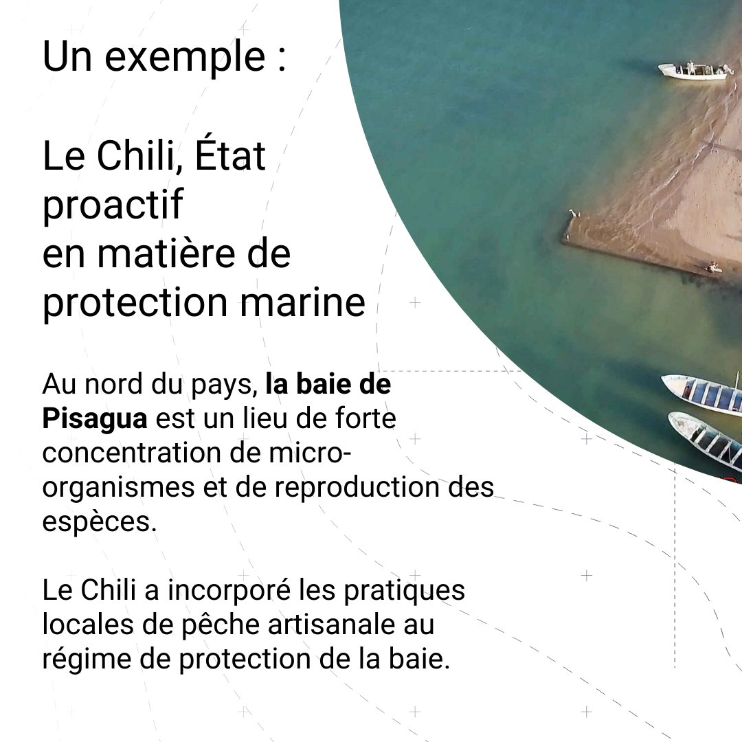 AFD_France's tweet photo. #JournéeMondialeDeLOcéan 🌊

🤔Le saviez-vous ? Les aires marines protégées constituent un levier efficace pour la préservation des océans et de la biodiversité qu’ils abritent.

Zoom sur la région Amérique latine et Caraïbes dans notre #AtlasODD (🤝@sciencespo) ⤵️ 
@TiagoGiraldo