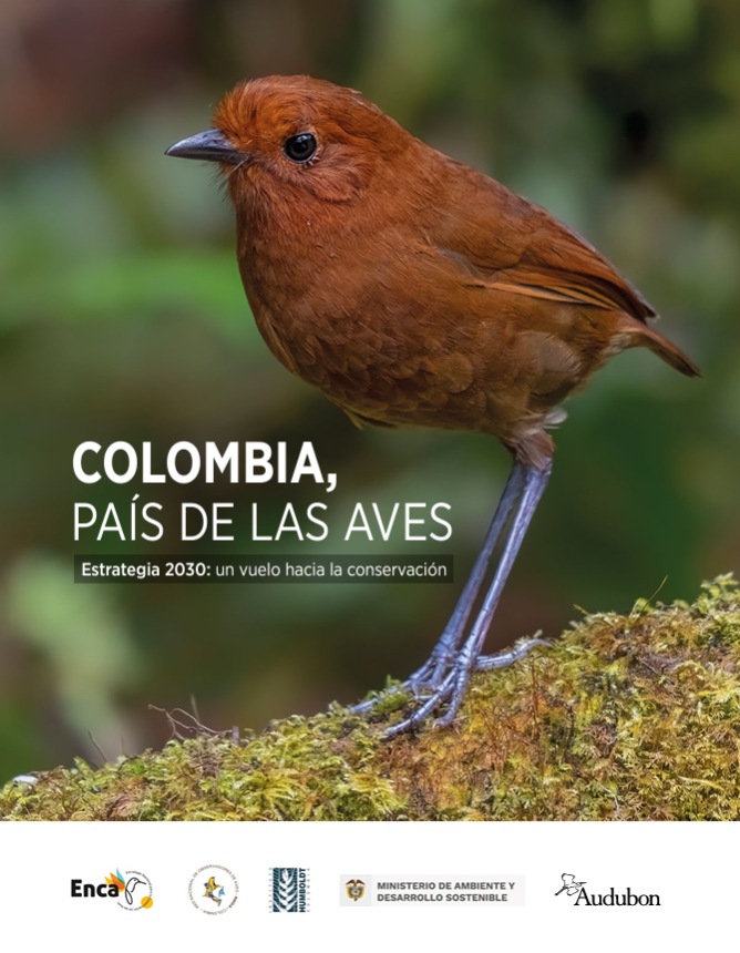 RNOA_COL's tweet photo. #ColombiaPaísdelasAves, la Estrategia Nacional para la Conservación de las Aves de Colombia (ENCA) 2030, la herramienta que hemos construido conjuntamente para proteger y conservar las aves en nuestro país.

@inst_humboldt @AudubonAmericas @RNOA_COL

https://t.co/6kd653w3Xg https://t.co/KvV0GAF1ld