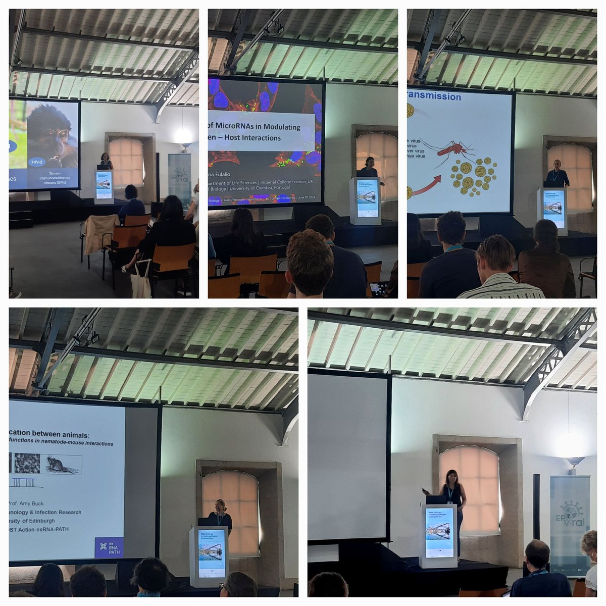 viral_epi's tweet photo. 👌Day3 #RNABHPI2024

We learned about the role of #NonCodingRNA and the #HighThroughputMethods for analyzing RNA in the context of #HostPathogenInteractions. 
In the end of the day, participants had the opportunity to network during the conference dinner. https://t.co/qU4Sg19jFC
