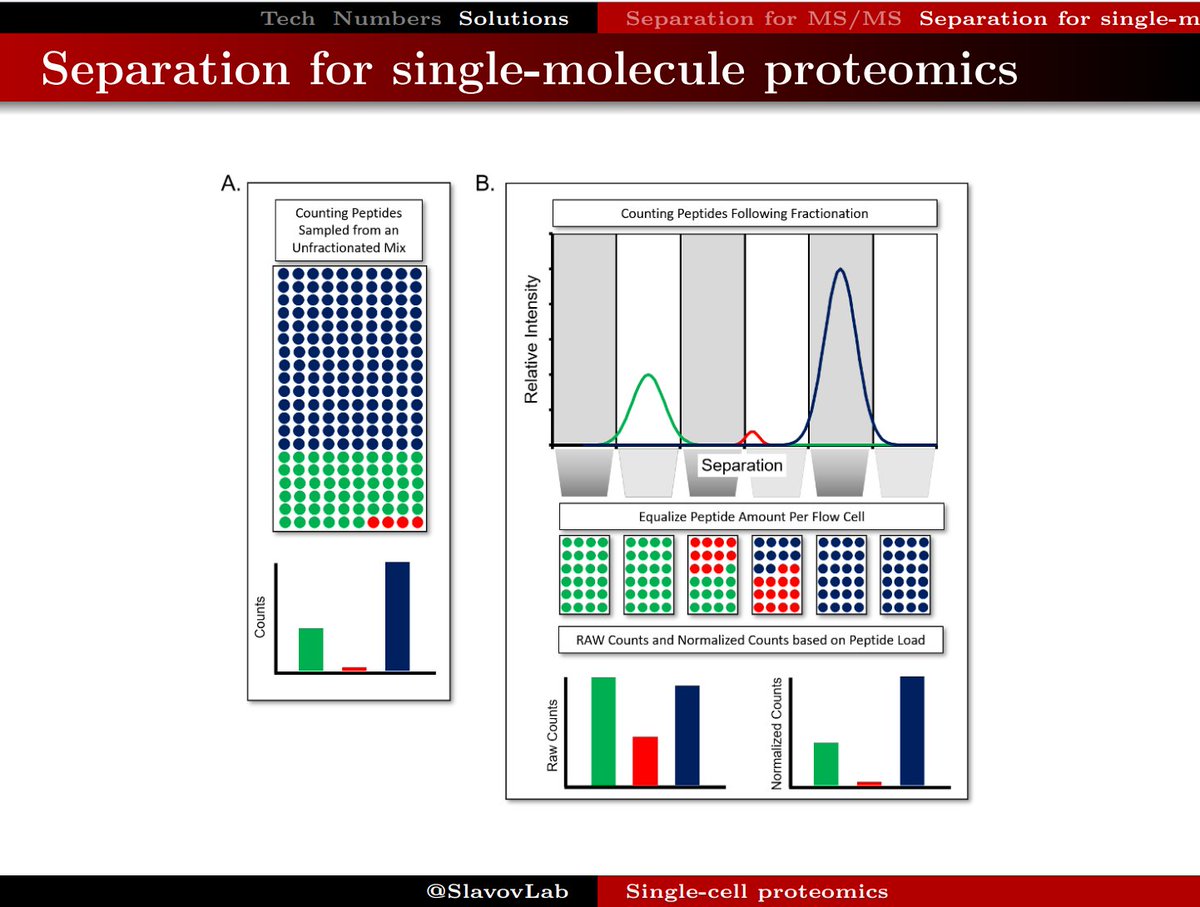 slavovLab's tweet photo. Single-molecule proteomics can greatly benefit from separation.

A talk from @SCP_meeting:
https://t.co/BQTRXMc60G https://t.co/yjktRumYtZ