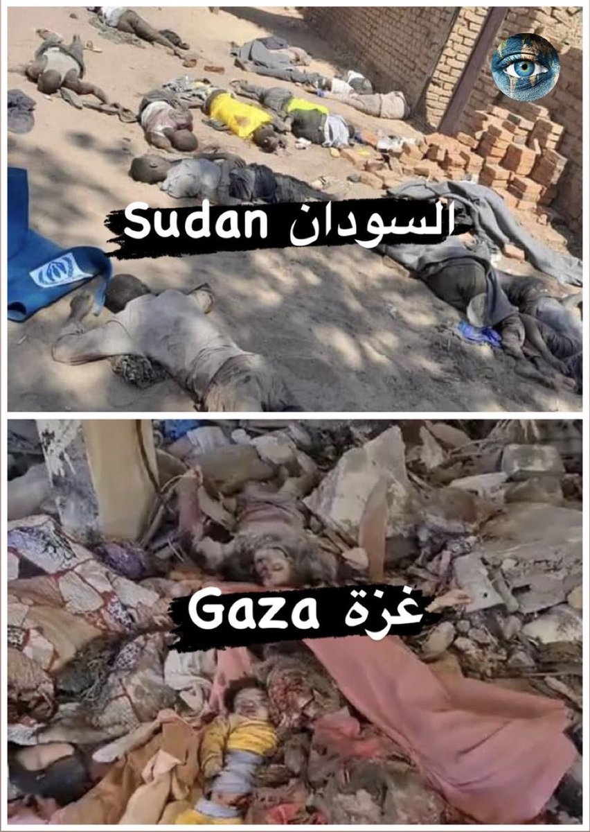 Tik_Shanks's tweet photo. https://t.co/AAEEcckDtc
#السودان #الحرب #الحرب_في_السودان #نازحي_الحرب #sudan https://t.co/tWJb2gxMm6