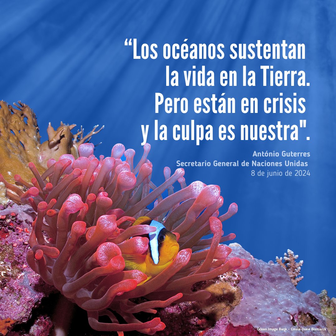 ONU_es's tweet photo. 🚨🌊 La crisis climática está devastando nuestro planeta, incluidos nuestro océanos.

#SalvemosLosOcéanos para lograr los #ObjetivosMundiales y garantizar nuestro futuro.

El 8 de junio es el #DíaDeLosOcéanos. 
https://t.co/USpZTADAJH. https://t.co/memmmw81wP