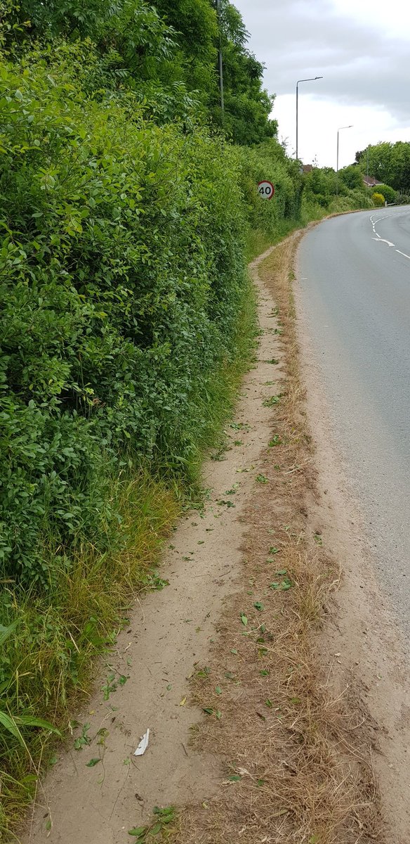 BBullrushes's tweet photo. Local #verge really overgrown, forcing pedestrians into the road in places. Spent a couple of hours cutting back Careful too to look out for nests. So much safer now for everyone. 🙂 ♻️ Cans & bottles found all ♻️ #lovewhereyoulive #hedgerows @CleanStreetsApp #pickthepath https://t.co/k69GzZrFVD
