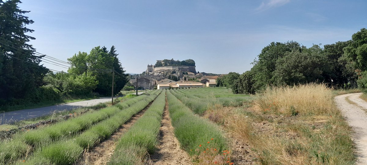 30ème Traversée de la Drôme à vélo,  clap de fin, 470 enfants bien arrivés, pas de souci, 220km, c'est fait #srav 
L'usep c'est l'inclusion,  1 IME et 2 ITEP, en fait la TDV parmi les 21 classes
Merci à <a href="/RadioMega26/">Radio Méga</a> pour les émissions en direct, l'Education aux médias à l'honneur