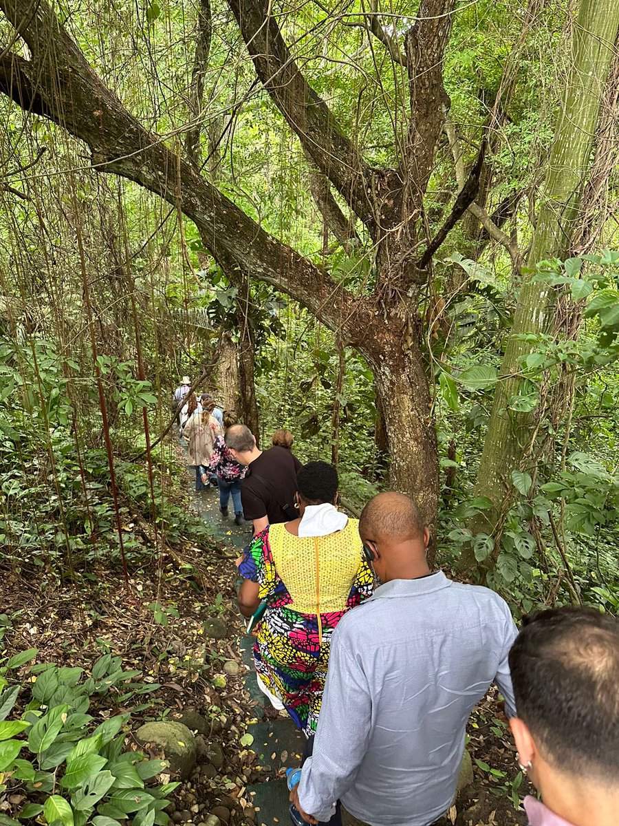 CRIMJUST_UNODC's tweet image. GPCD CRIMJUST🇺🇳 under @IllicitRoutes🇪🇺 convened anti-narcotic criminal justice officials in Colombia🇨🇴 last week to learn about trends in coca production and conversion and discuss strategies to strengthen transatlantic cross-border investigations. 🙏@PoliciaColombia and #SIMCI!