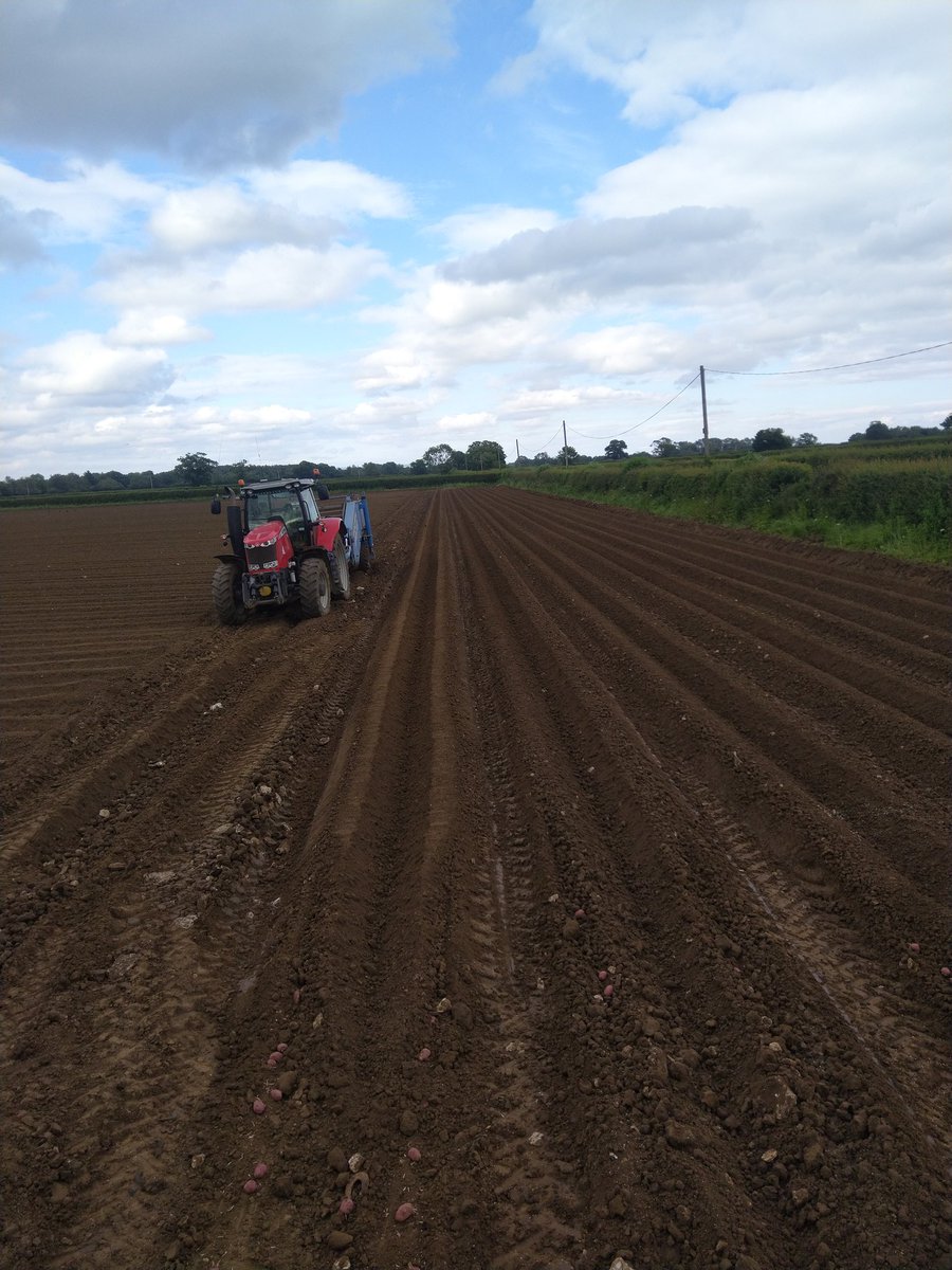 Andrew Wilson tweet media