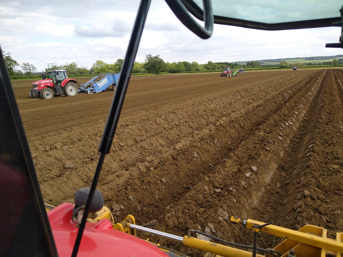 Andrew Wilson tweet media