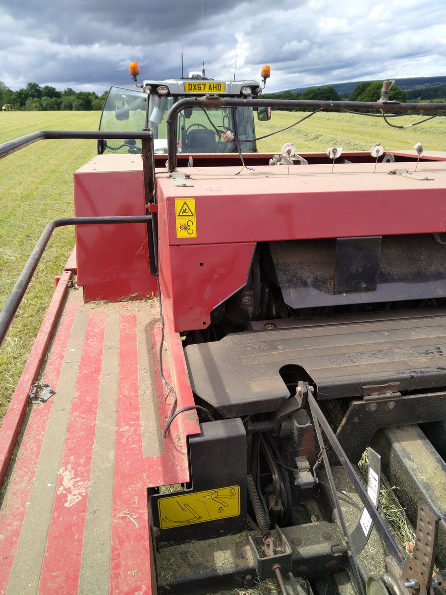 Andrew Wilson tweet media