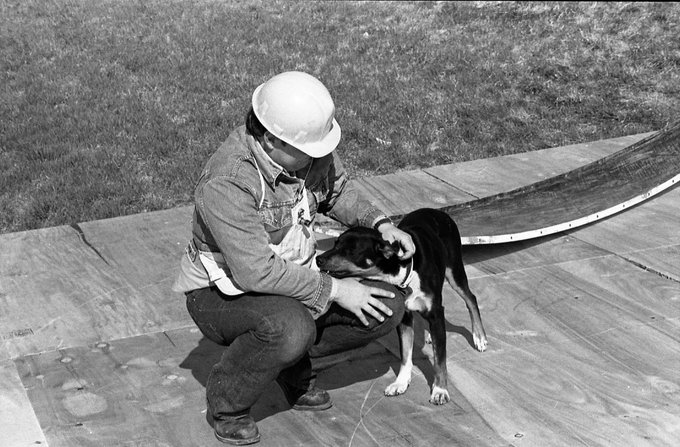 NCAR_Archives's tweet photo. Sparky was an honorary member of the research team during the National Intensive Meteorological Research On Downburst Project. Sparky is pictured here supervising the radar setup and conferring with a colleague. 

#ArchivesPets #ArchivesHashtagParty https://t.co/JAscHqYhNp