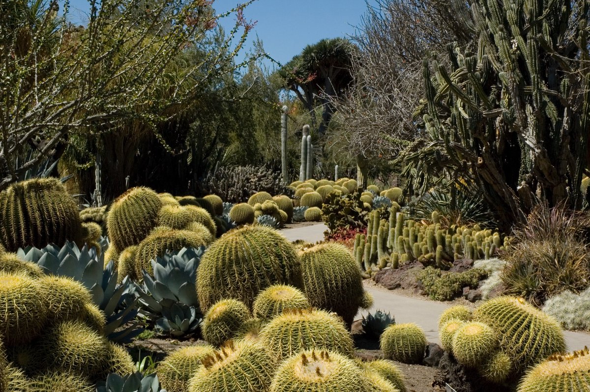 This week's episode takes you on a journey from a small Brooklyn garden to the gorgeous <a href="/TheHuntington/">The Huntington</a>  New episode out this Thursday! 🌹🪻🌸