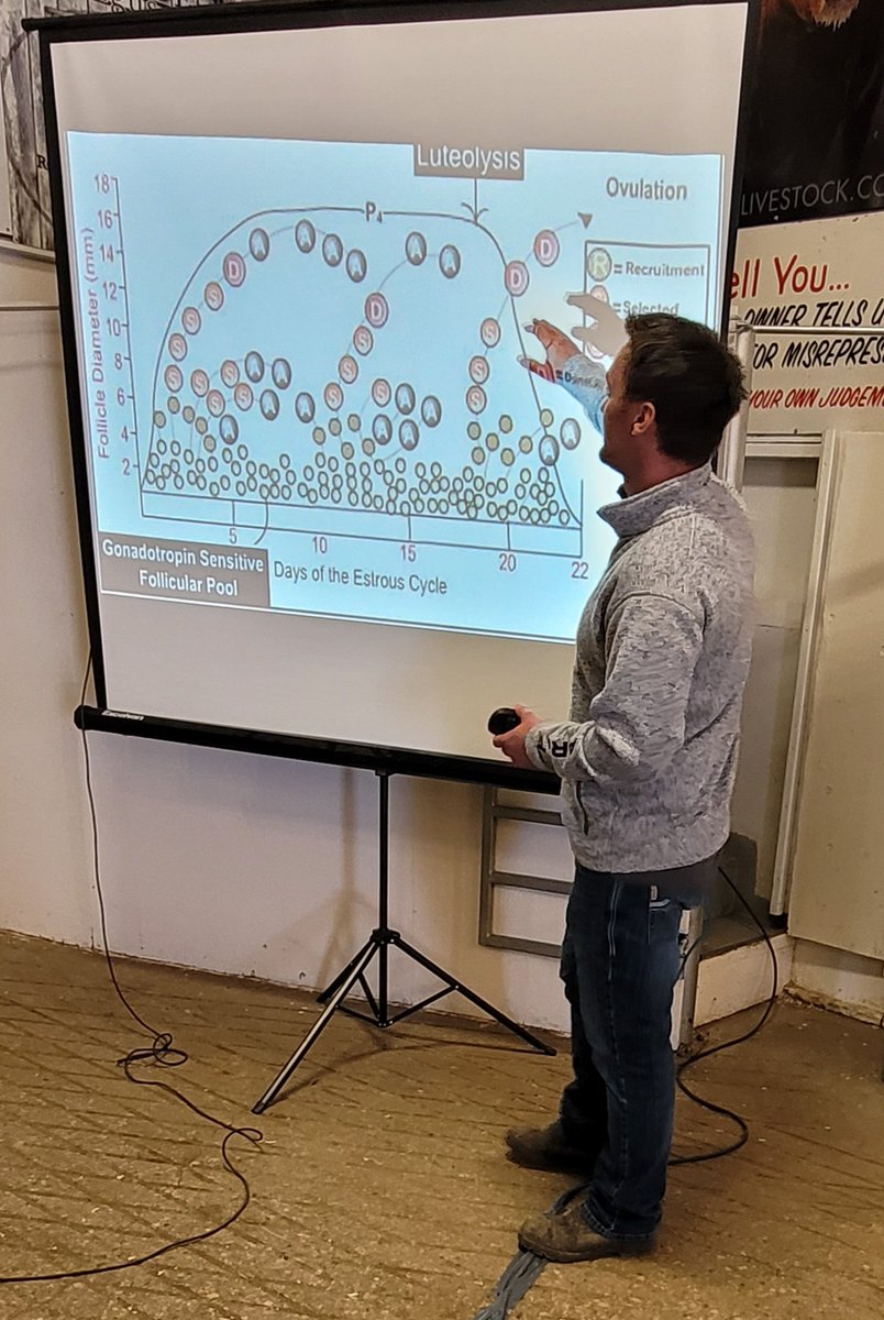 Candace By tweet media