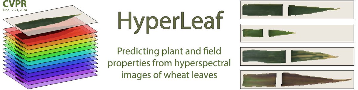 Data Science Experts (DSE) tweet media