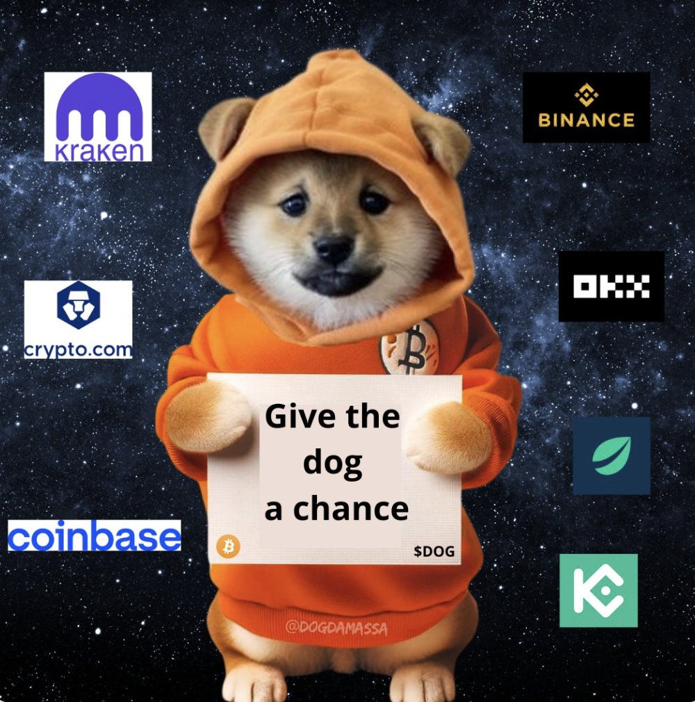 LeonidasNFT's tweet photo. Hi tier-1 CEXs 👋

My name is $DOG

I would like to be friends! https://t.co/oKSVQH93G4
