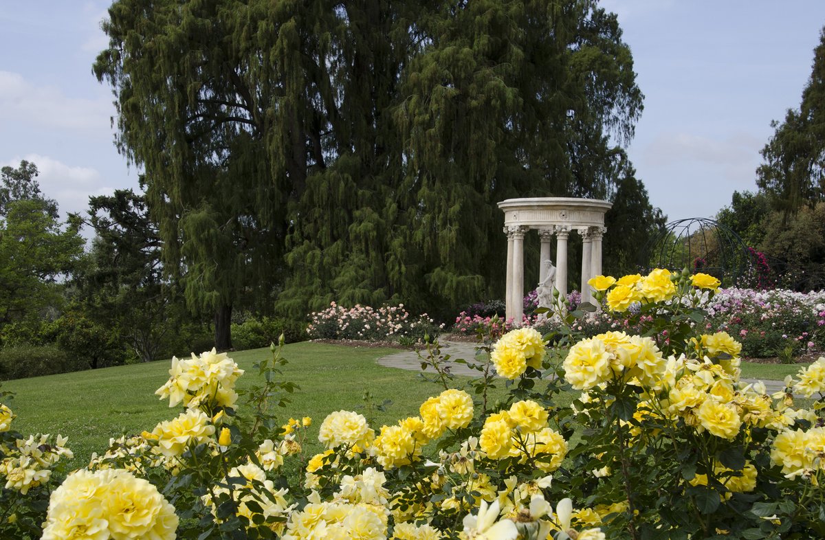HumaNaturePod's tweet photo. On this week's episode meet Stephen Reid, the head gardener at @TheHuntington  our brand new HumaNature episode this Thursday wherever you get your podcasts 🌹🪻🌸 https://t.co/SQt28Ryhmp
