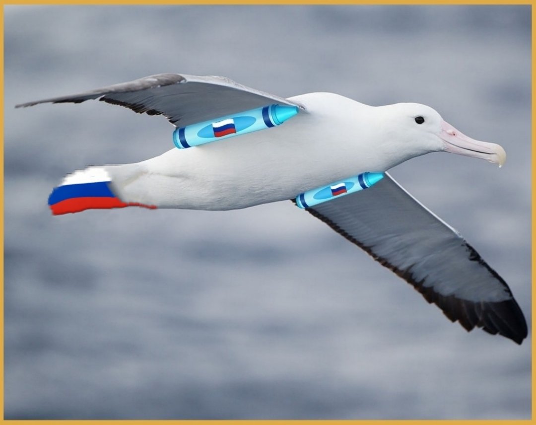 zizivif69skand1's tweet photo. #ElectionsEuropéennes2024
#JOParis2024 ☞ #Bombes
#Mouette ☞ #Chieuse #Paris
#Russie #War #AntonChekhov
#Frexit ☞ #Bardella #FRANCE
🇨🇵
#Dolto !
Attention, la Mouette Chieuse Russe va sans doute nous le faire pendant les Jeux Olympiques. https://t.co/Asez1AhsLB