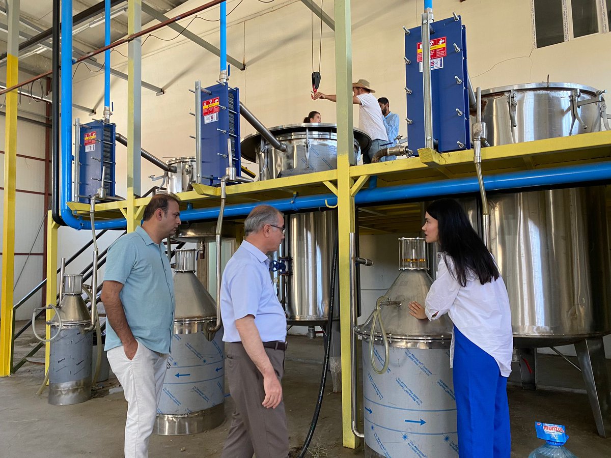 Diyarbakirtarim's tweet photo. GAP bölge kalkınma idaresi tarafından desteklenen lavanta geliştirme projesi kapsamında Silvan Yeşilköy Mahallesi'nde Mesil Kepolu’ya ait lavanta bahçesinde hasat etkinliği yapıldı. Lavantalar TKDK tarafından desteklenen üretim tesisinde işlenerek piyasaya arzı sağlanmaktadır. https://t.co/1fPZ8dJYWI