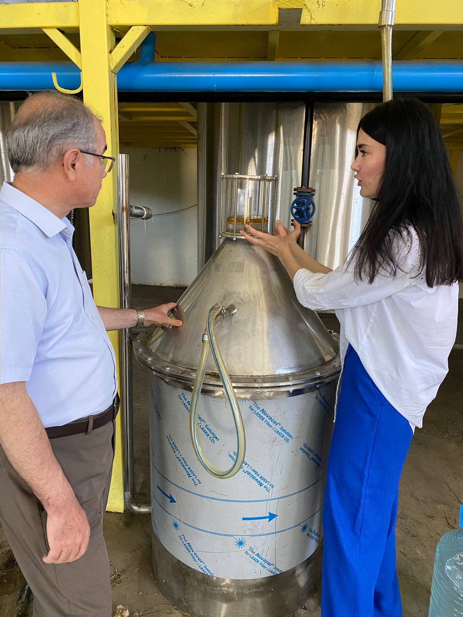 Diyarbakirtarim's tweet photo. GAP bölge kalkınma idaresi tarafından desteklenen lavanta geliştirme projesi kapsamında Silvan Yeşilköy Mahallesi'nde Mesil Kepolu’ya ait lavanta bahçesinde hasat etkinliği yapıldı. Lavantalar TKDK tarafından desteklenen üretim tesisinde işlenerek piyasaya arzı sağlanmaktadır. https://t.co/1fPZ8dJYWI