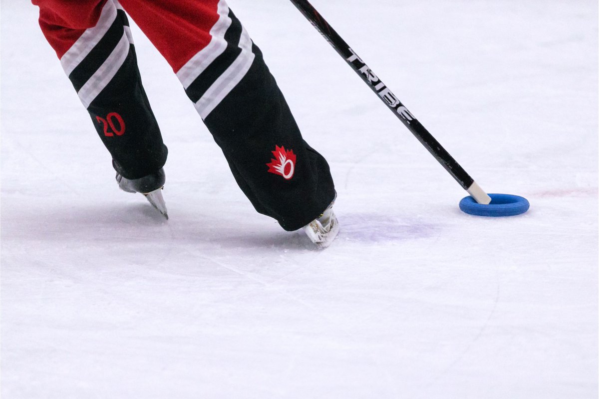 RingetteCalgary tweet picture