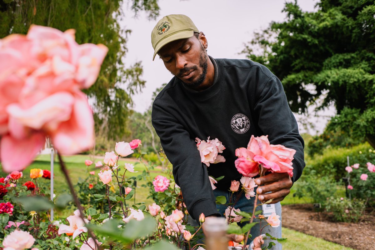 Brand new episode "A Zucchini Haters Guide to Growing Zucchini" out now! Follow Stephen Reid on his unconventional journey to <a href="/TheHuntington/">The Huntington</a> 🪻🌹🌸Find HumaNature on Apple Podcasts, Spotify, or wherever you get your podcasts