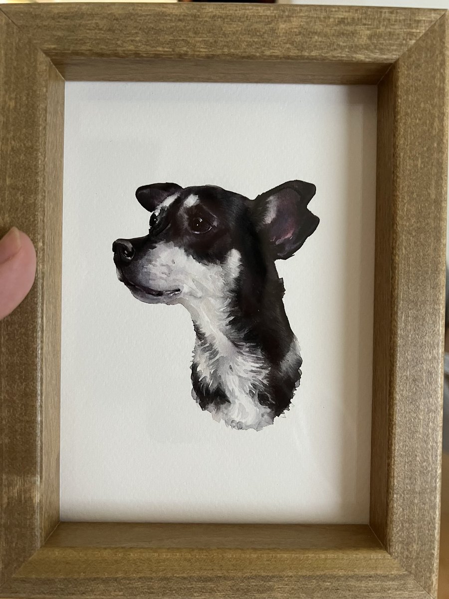 John Wolfe tweet media