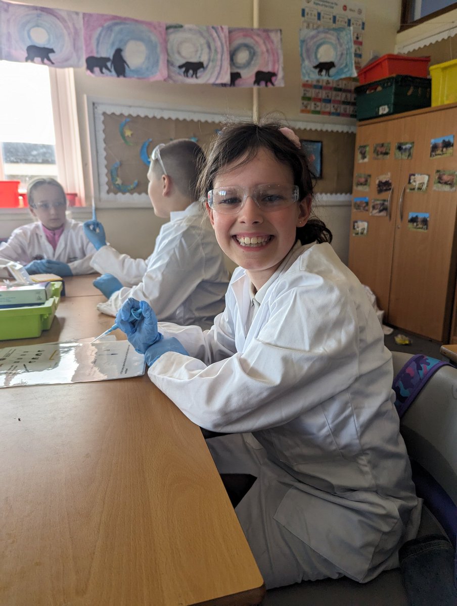 BroccoliWeeTree's tweet image. Yesterday's In2university worship, we met people from Edinburgh university and tested samples to find out of they were positive or negative for paricites.