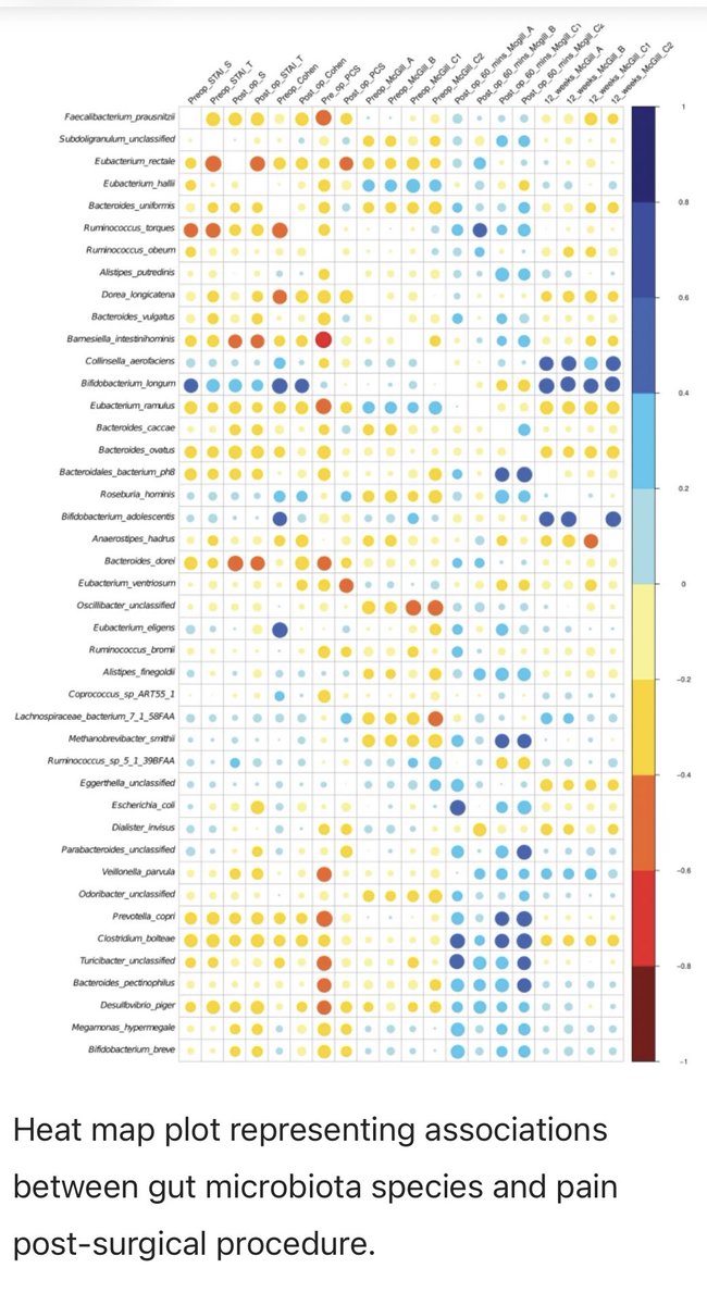 Paul Cotter (@pauldcotter) on Twitter photo Just published⦠assessment of the gut microbiota in persistent post-operative pain. Thanks to <a href="/somahony1/">Dr Siobhain M. O'Mahony</a>, George, Khaled and <a href="/JCollinsNeuro/">James Collins, PhD</a> for involving us <a href="/teagasc/">Teagasc</a> <a href="/Pharmabiotic/">APC Microbiome Ireland</a> <a href="/CabrerarubioR/">Raul Cabrera Rubio</a> Just published⦠assessment of the gut microbiota in persistent post-operative pain. Thanks to <a href="/somahony1/">Dr Siobhain M. O'Mahony</a>, George, Khaled and <a href="/JCollinsNeuro/">James Collins, PhD</a> for involving us <a href="/teagasc/">Teagasc</a> <a href="/Pharmabiotic/">APC Microbiome Ireland</a> <a href="/CabrerarubioR/">Raul Cabrera Rubio</a>