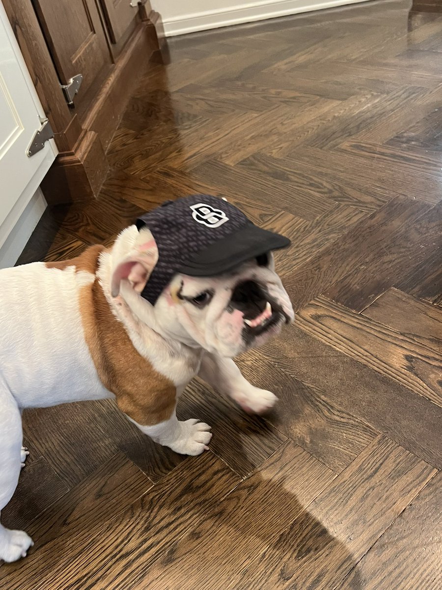 Sharon Osbourne tweet media