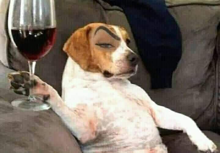 al fin el trabajo me dejó ser libre.