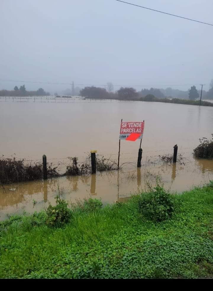 Se venden parcelas en la salida sur de #Valdivia...