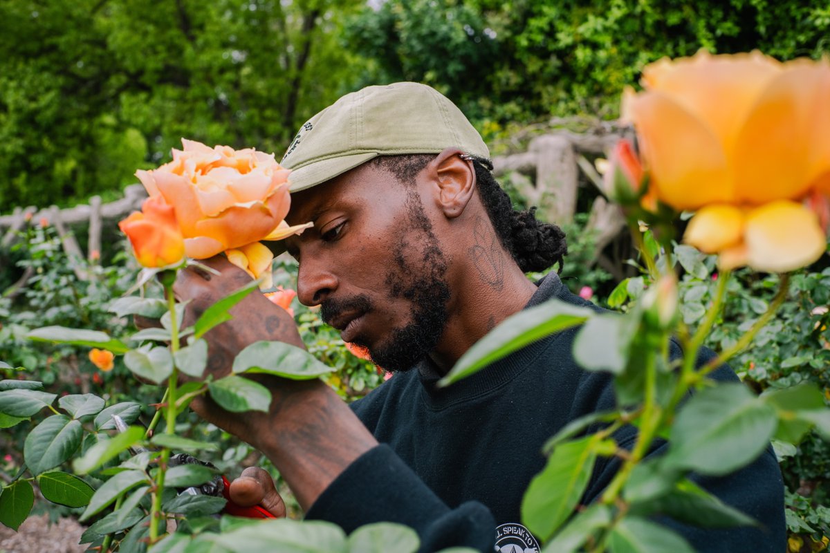 Stephen Reid's journey to <a href="/TheHuntington/">The Huntington</a> was unconventional to say the least. Learn all about it on this week's episode of HumaNature "A Zucchini Haters Guide to Growing Zucchini" available everywhere you get your podcasts 🌹🌹🌹