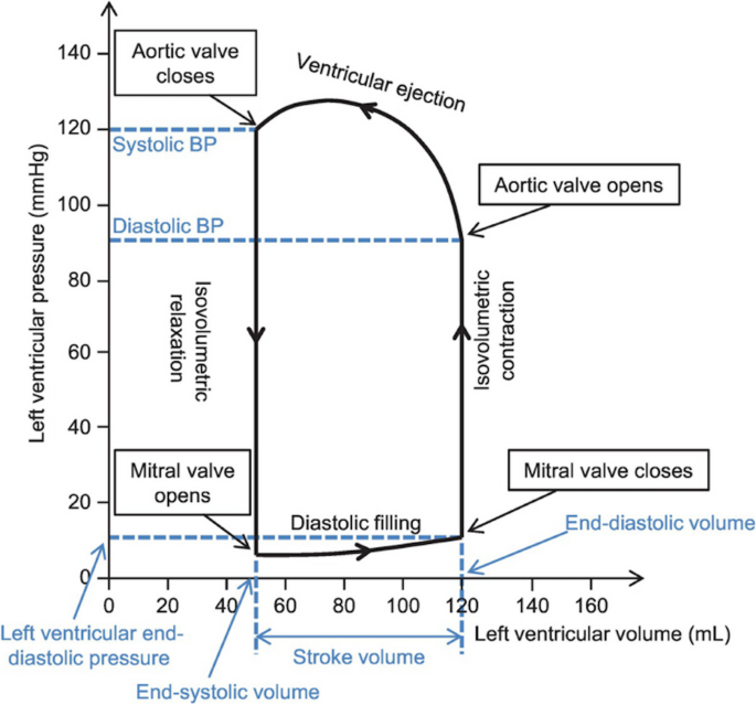 SeguraCardio's tweet photo. 📌The assessment of left ventricular diastolic function: #guidelines from the @BSEcho 

#EchoFirst #DiastolicFunction https://t.co/RFXWO3EDZc