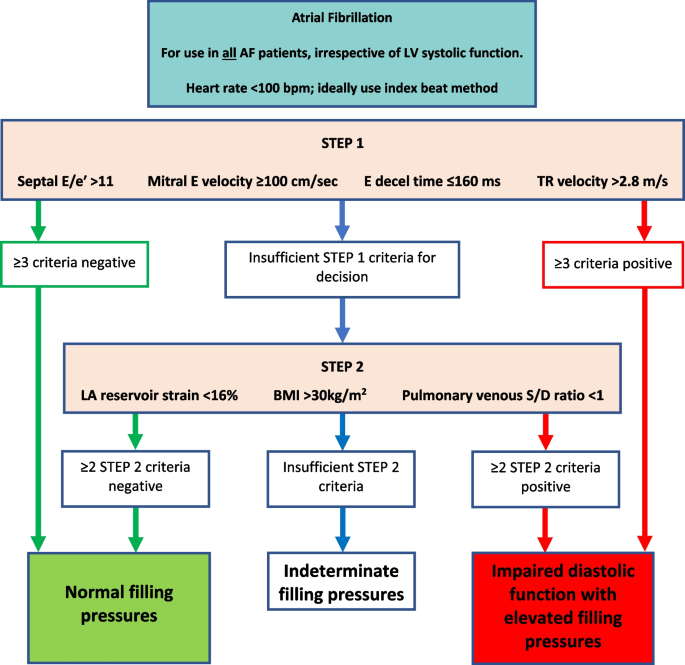 SeguraCardio's tweet photo. 📌The assessment of left ventricular diastolic function: #guidelines from the @BSEcho 

#EchoFirst #DiastolicFunction https://t.co/RFXWO3EDZc